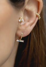 Pendientes Mosca Brillante