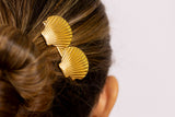Pinza dos conchas