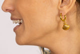Aros concha