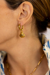 Aros concha