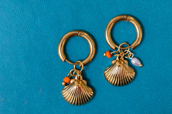 Aros concha