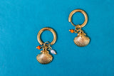Aros concha