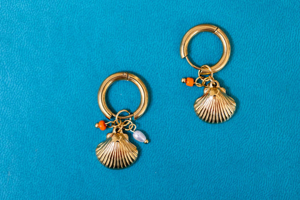 Aros concha