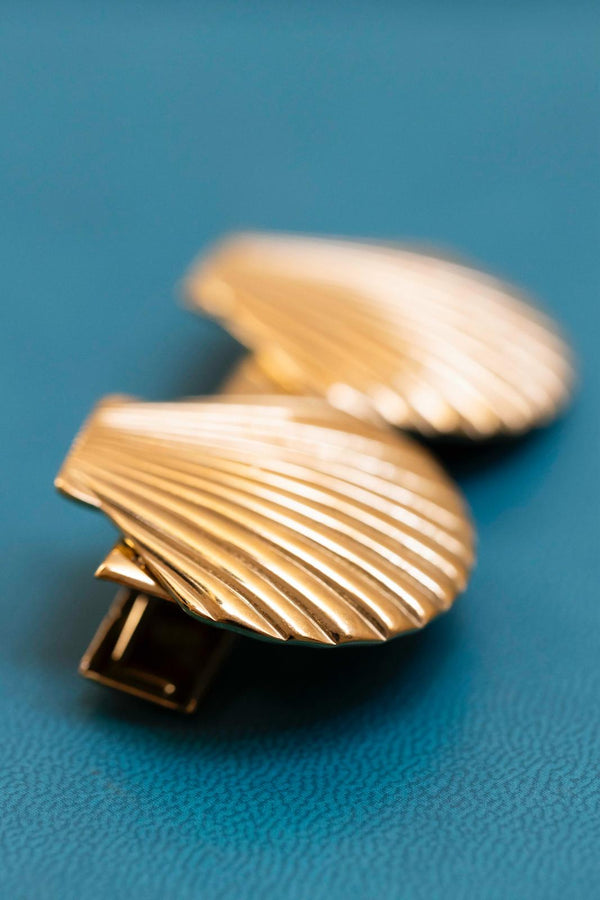 Pinza dos conchas