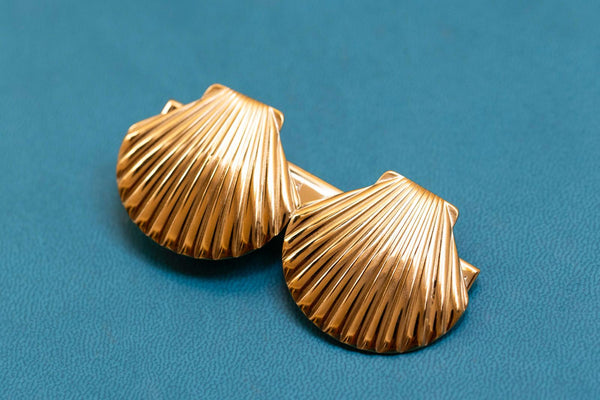 Pinza dos conchas