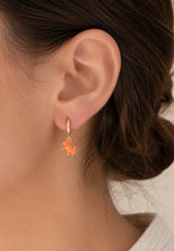 Aros Cangrejo xs