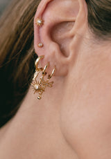 Aros Libélula Brillante XL