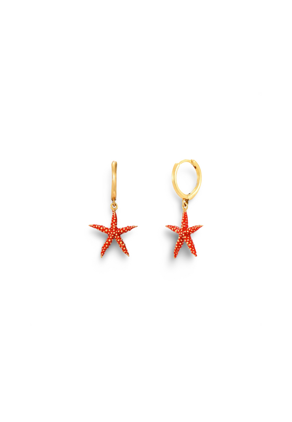 Aros Estrella de Mar