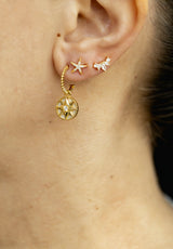 Pendientes Coronita Brillante