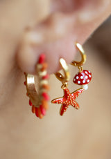 Aros Estrella de Mar