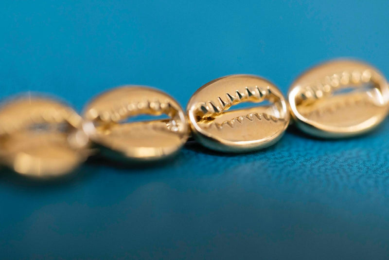 horquilla concha mar