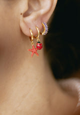 Aros Estrella de Mar