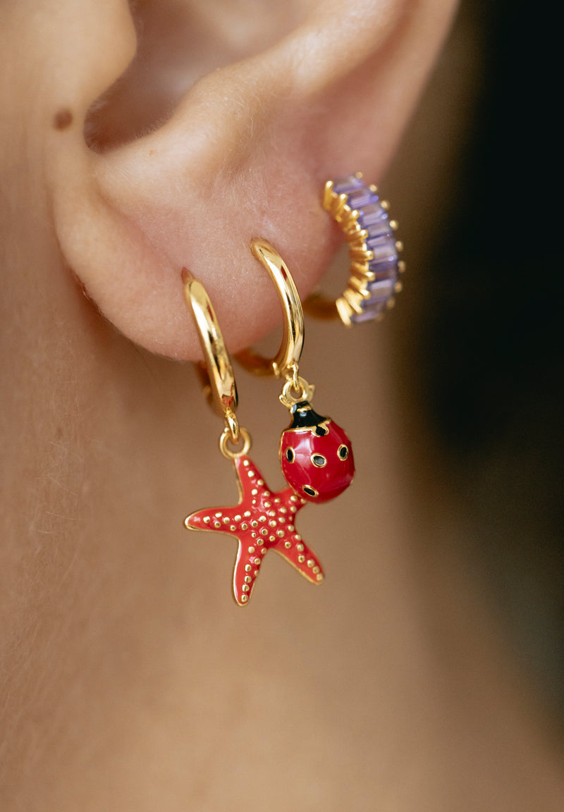 Aros Estrella de Mar