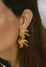 Pendientes hoja tropical