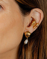 Pendientes Concha Perlita