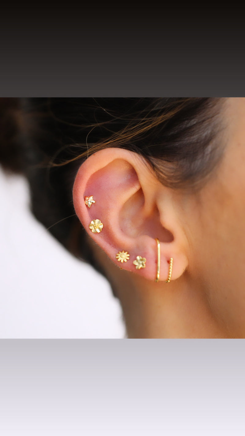 Pendientes Clavel