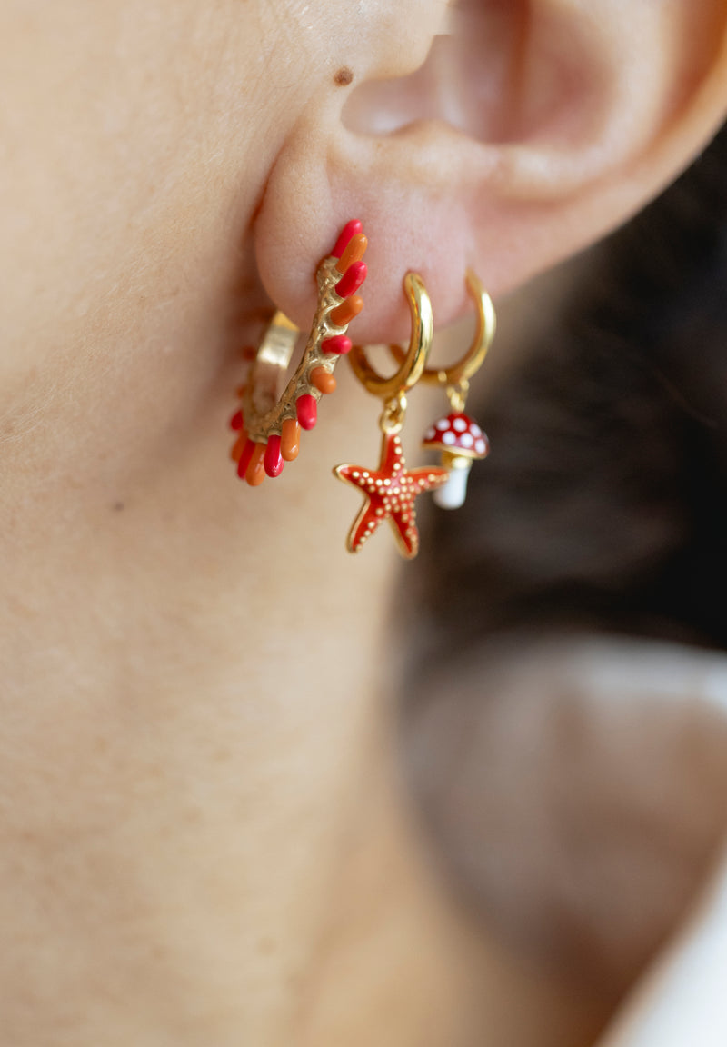 Aros Estrella de Mar