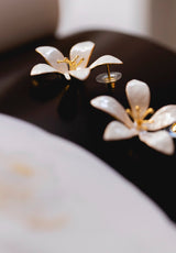 PENDIENTES LYA