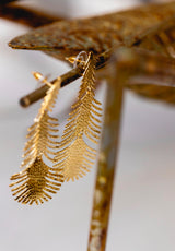 Pendientes Dani