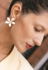 PENDIENTES LYA