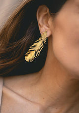 Pendientes Dani