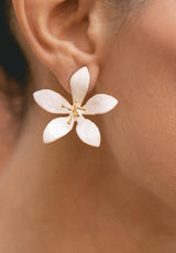 PENDIENTES LYA